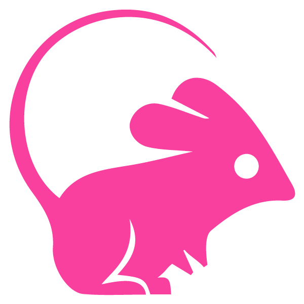 https://d3jk55w6373teq.cloudfront.net/Feedpanel/Edito/Astrolojim/Chinesehoroscope/chinese-rat.png